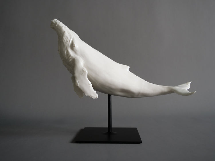 Whale North: white porcelain, glossy, white