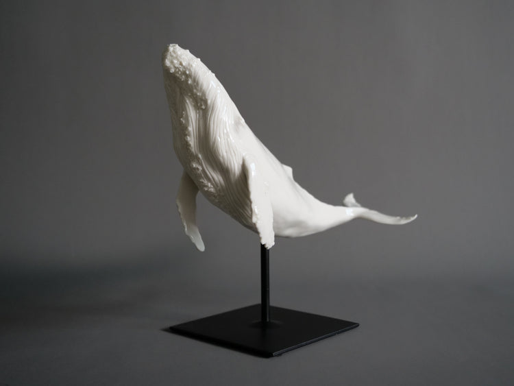 Whale North: white porcelain, glossy, white