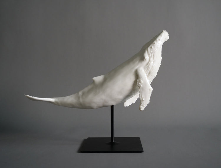 Whale North: white porcelain, glossy, white