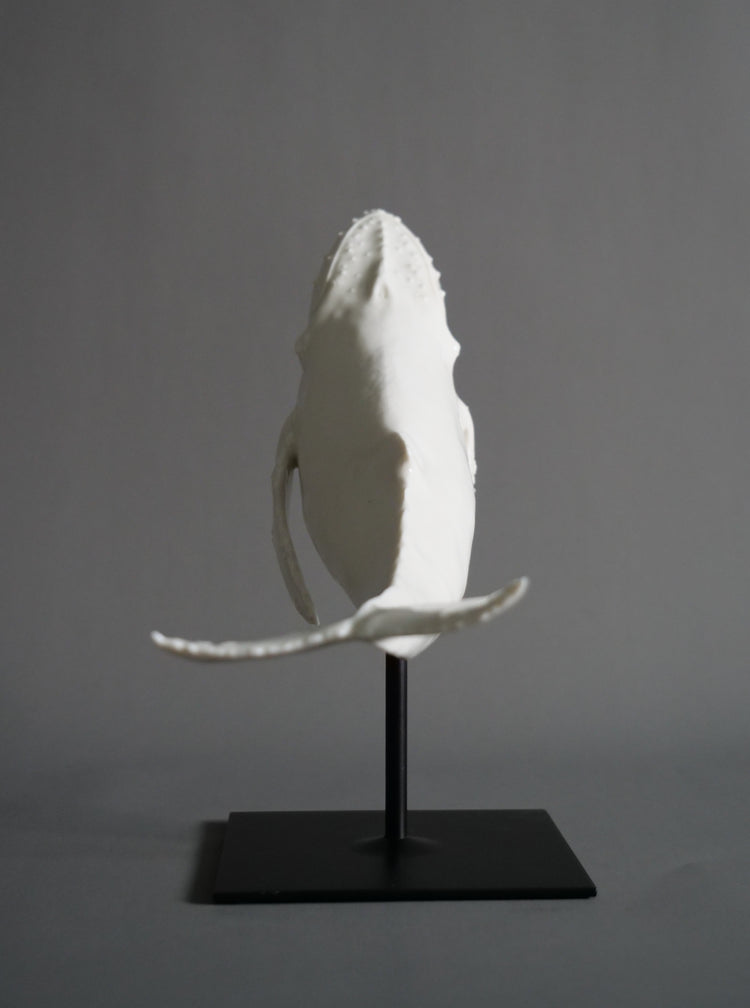 Whale North: white porcelain, glossy, white