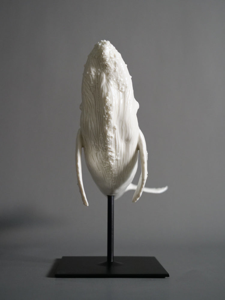 Whale North: white porcelain, glossy, white