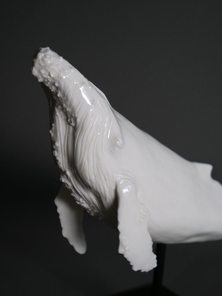 Whale North: white porcelain, glossy, white