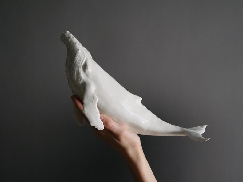 Whale North: white porcelain, glossy, white