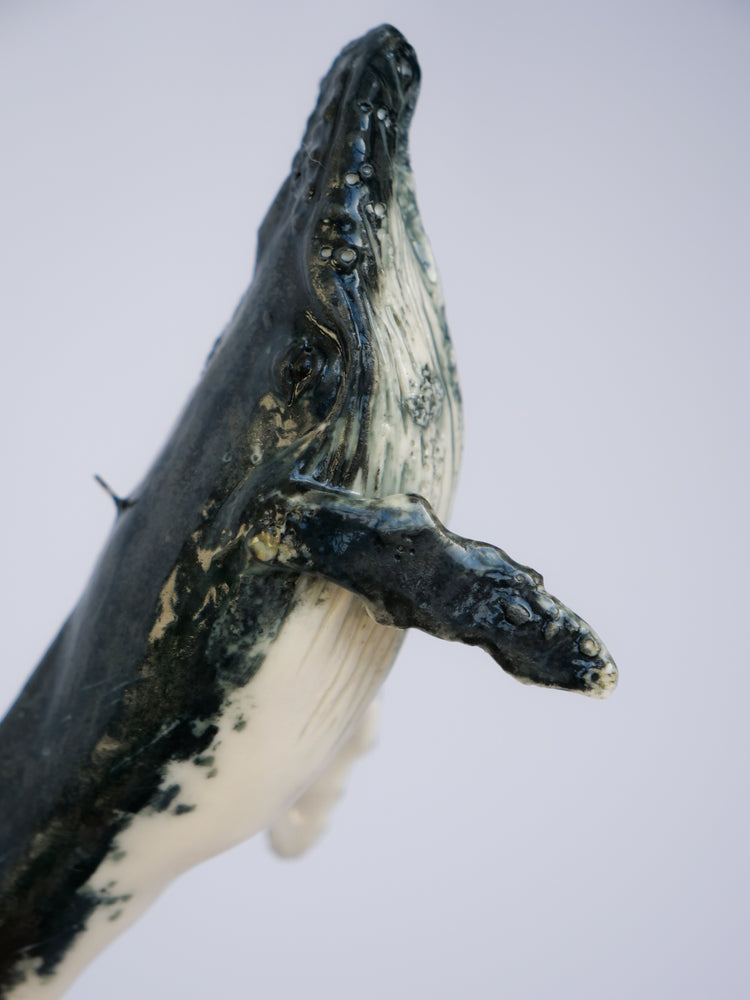 Whale Luna: small, dark blue & white, hanging