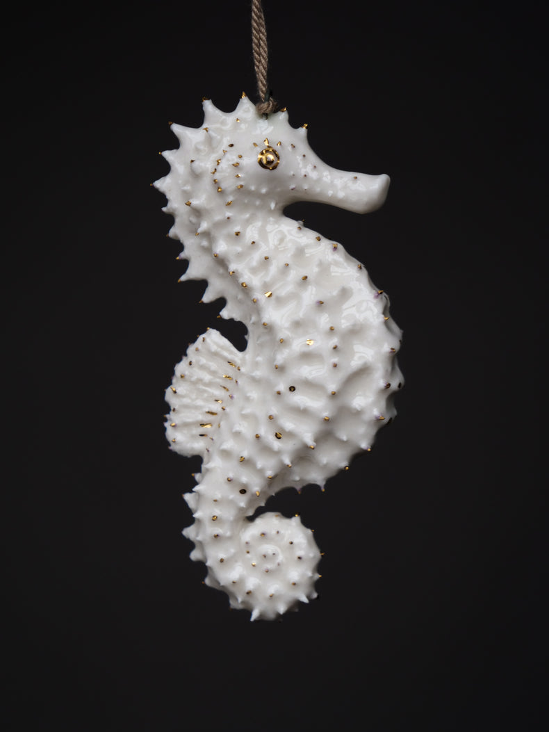 Seahorse Cecile