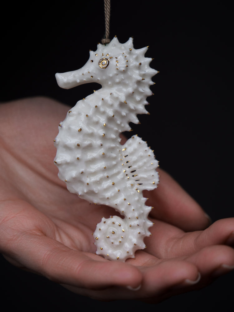 Seahorse Cecile