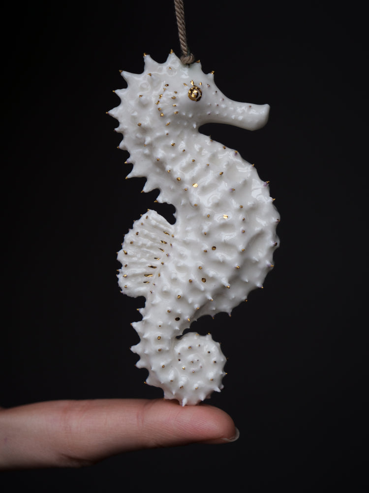 Seahorse Cecile