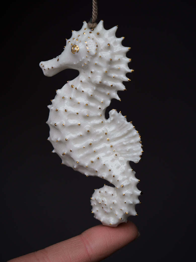 Seahorse Albert