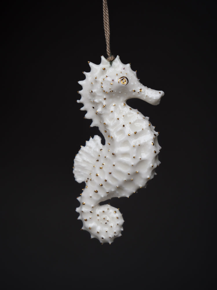 Seahorse Albert