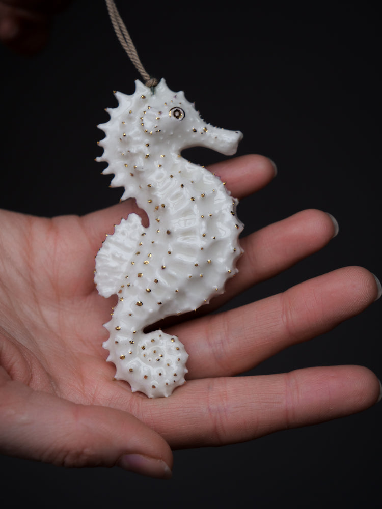 Seahorse Albert