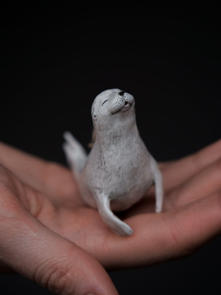 Seal Ava