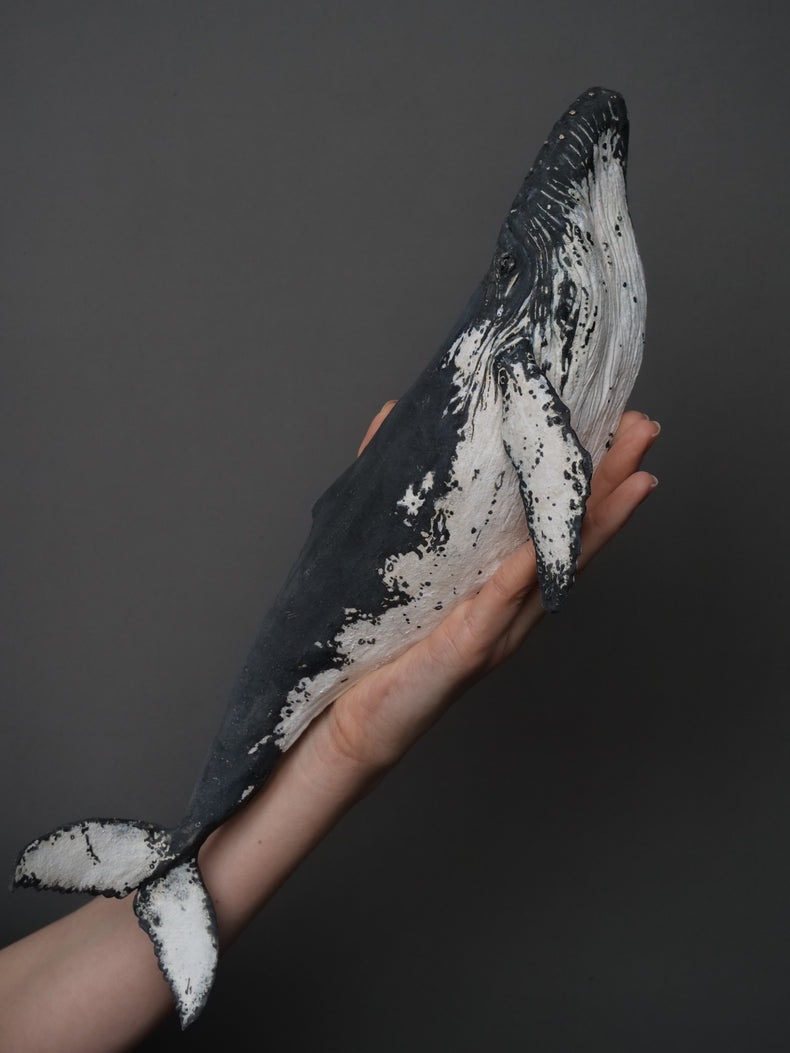Carlos - wall hanging humpback whale