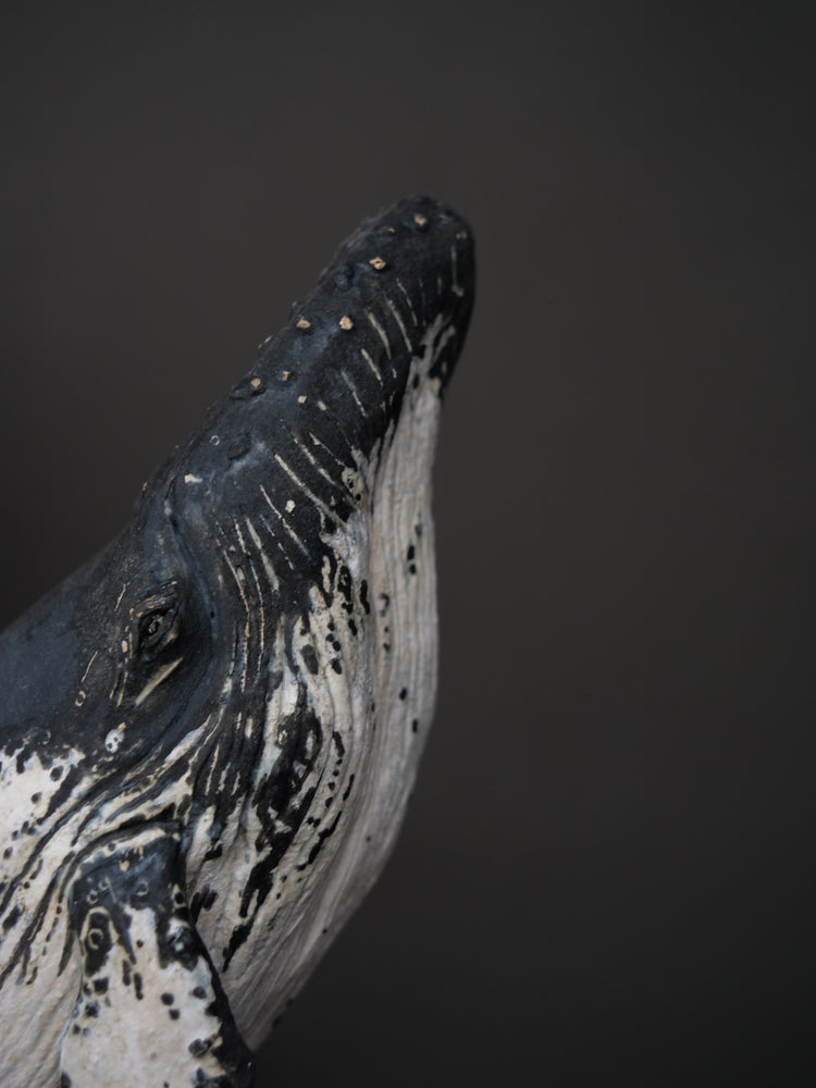 Carlos - wall hanging humpback whale