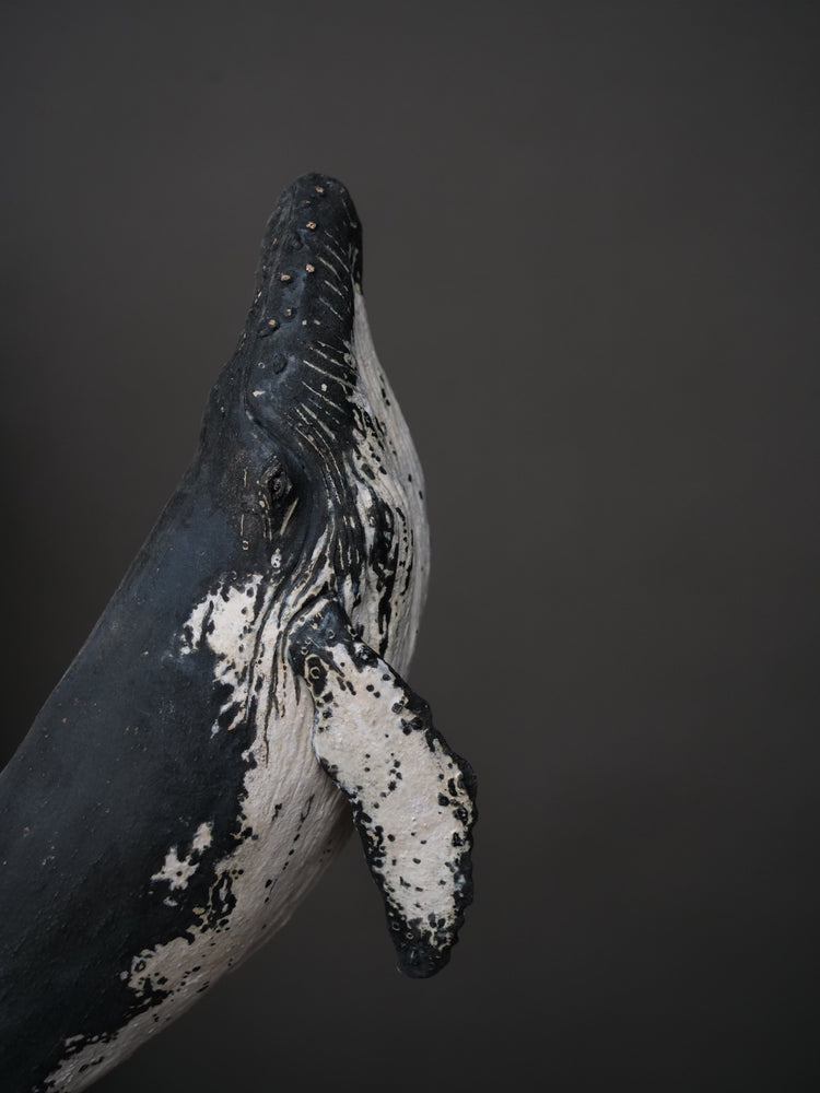Carlos - wall hanging humpback whale