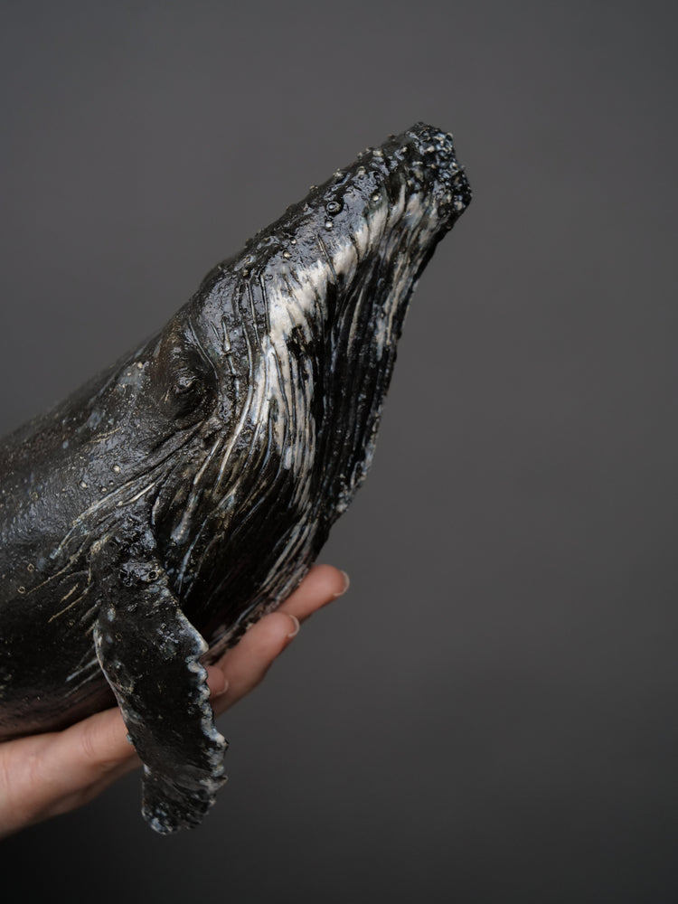 Pepper - wall hanging whale