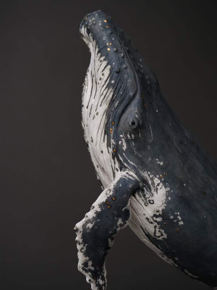 Talia - wall hanging humpback whale