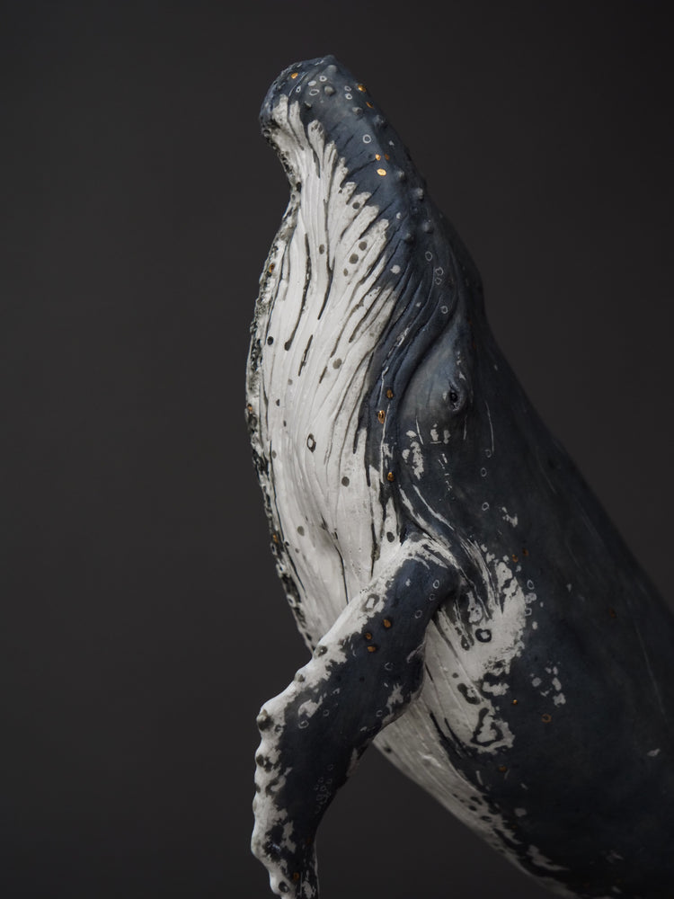 Talia - wall hanging humpback whale
