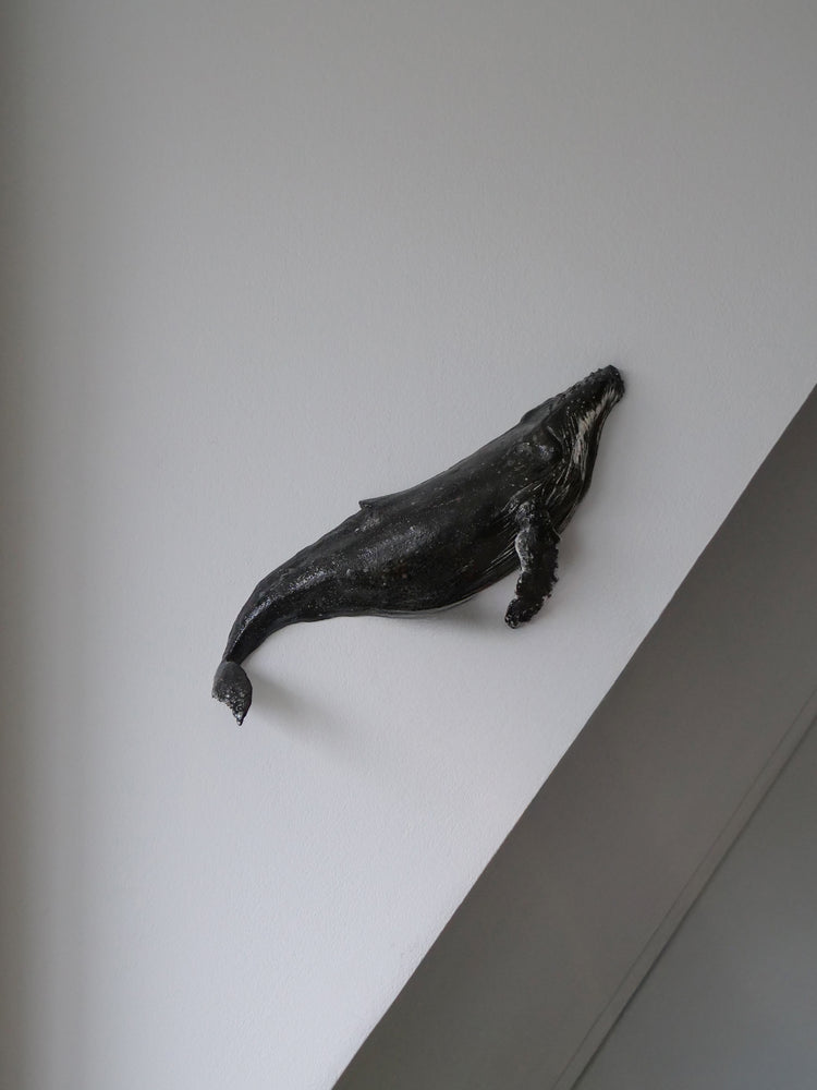 Pepper - wall hanging whale