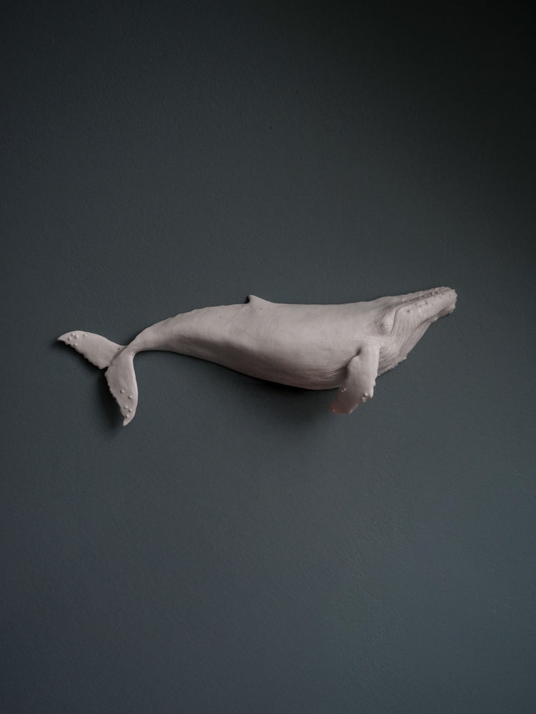 Aria - wall hanging humpback whale
