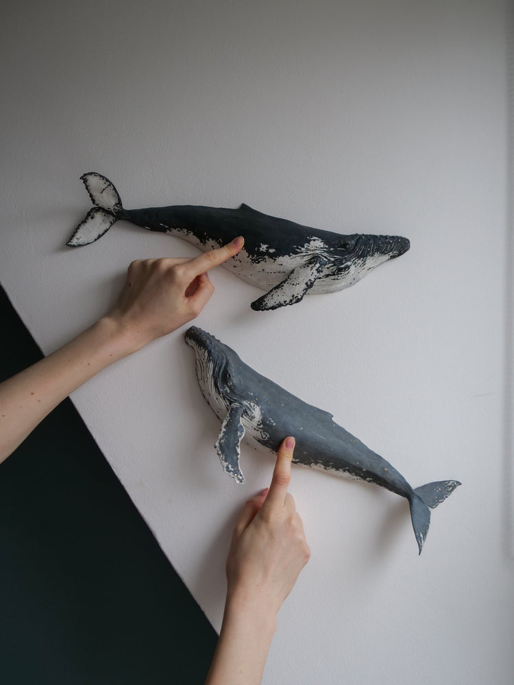 Carlos - wall hanging humpback whale