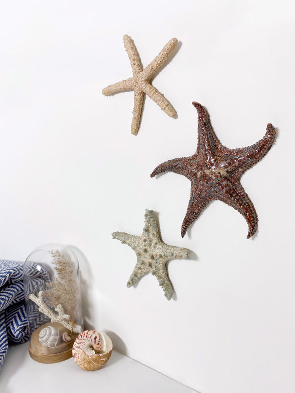 Starfish family made of ceramics mounted on wall, seaside creatures, coastal style stars
