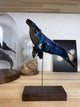 Humpback whale made of ceramics, on a wooden stand, beautiful glaring blue color, glossy