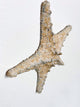Starfish couple made of ceramics mounted on wall, seaside creatures, coastal style stars