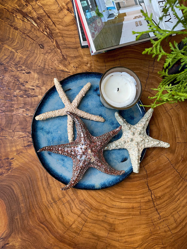 Starfish family made of ceramics mounted on wall, seaside creatures, coastal style stars