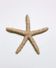 Starfish family made of ceramics mounted on wall, seaside creatures, coastal style stars
