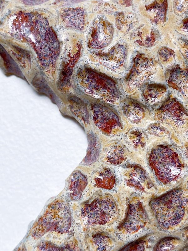 Starfish couple made of ceramics mounted on wall, seaside creatures, coastal style stars