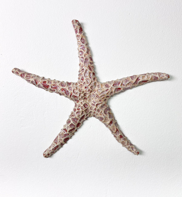 Starfish couple made of ceramics mounted on wall, seaside creatures, coastal style stars