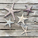 Starfish couple made of ceramics mounted on wall, seaside creatures, coastal style stars