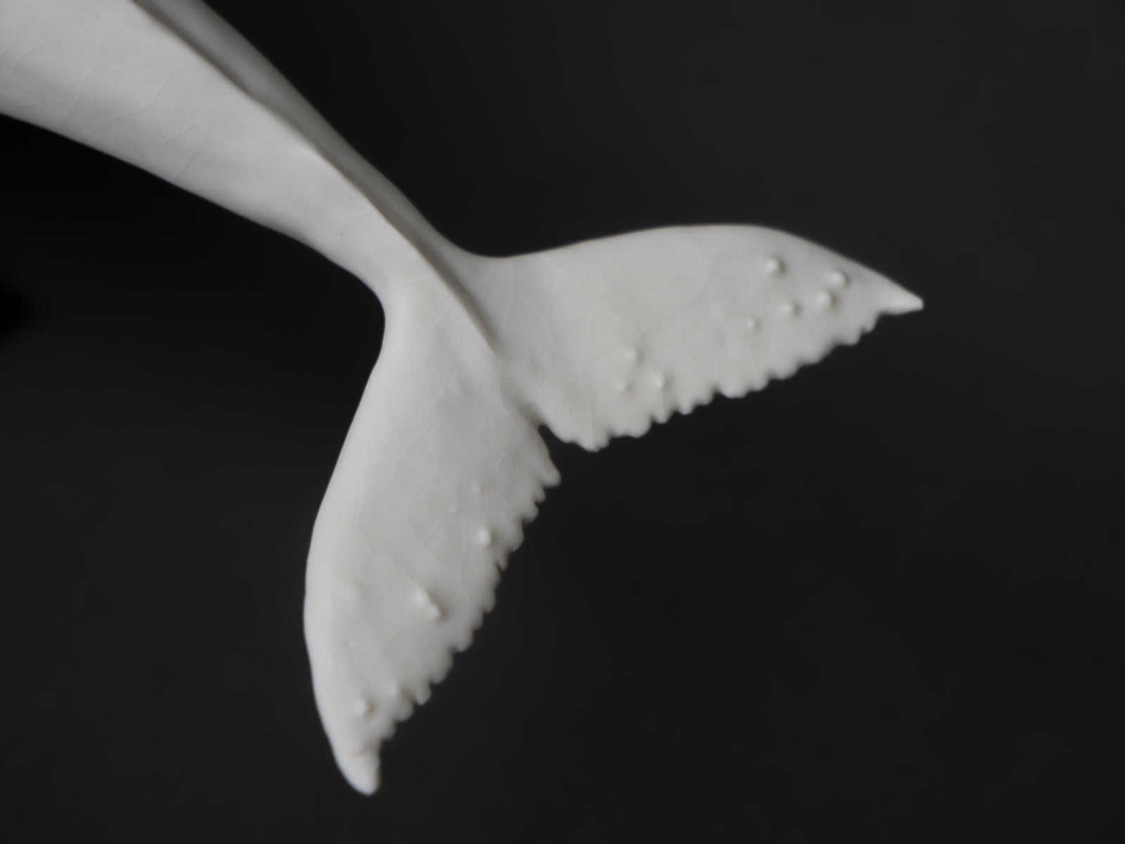 Collection December 2023