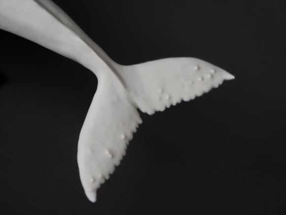 Collection December 2023