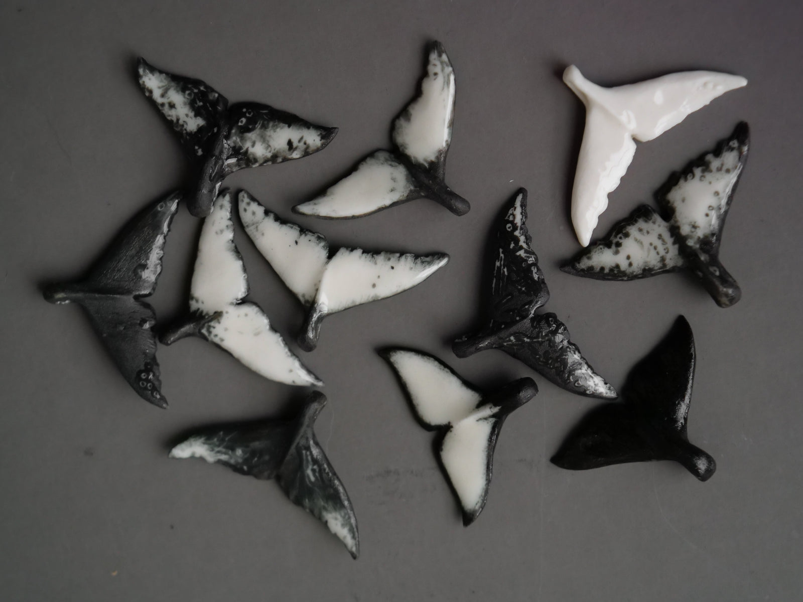 Humpback whales collection