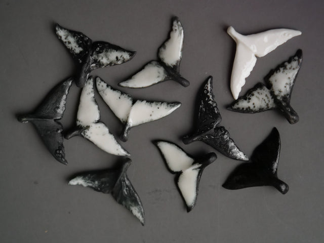 Humpback whales collection