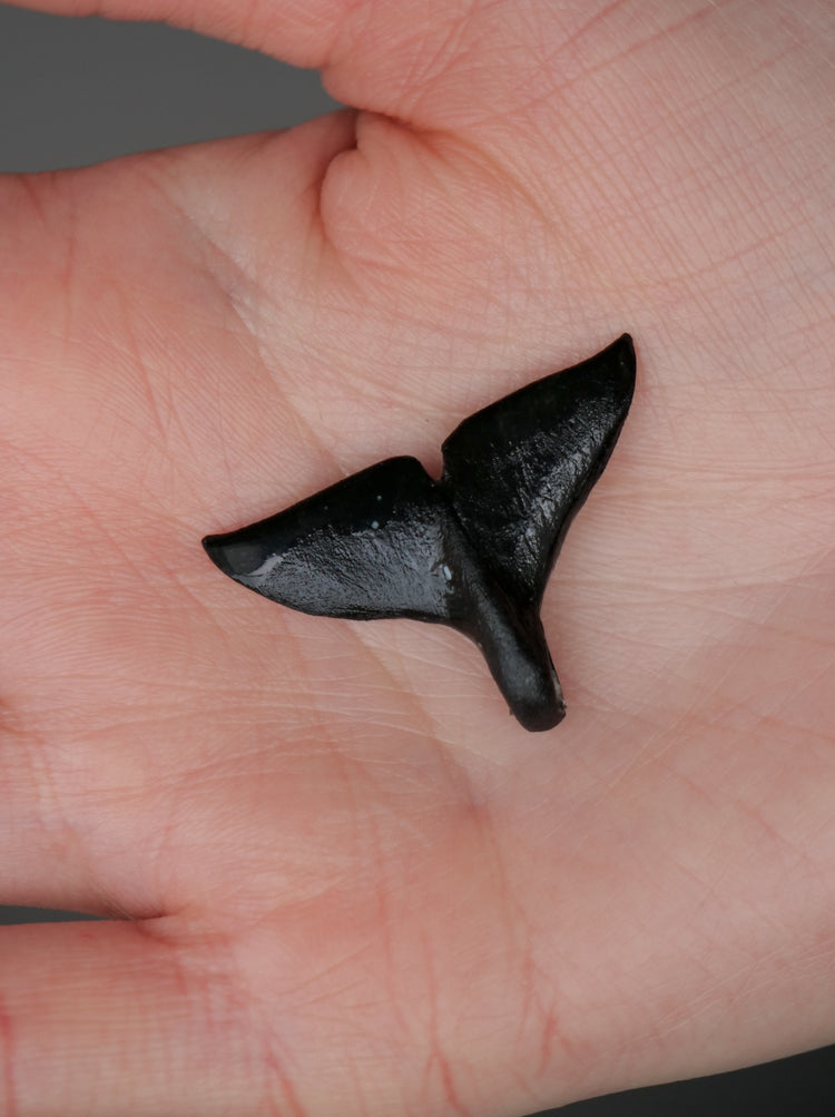 Whale tail pendants