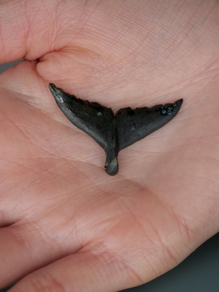 Whale tail pendants