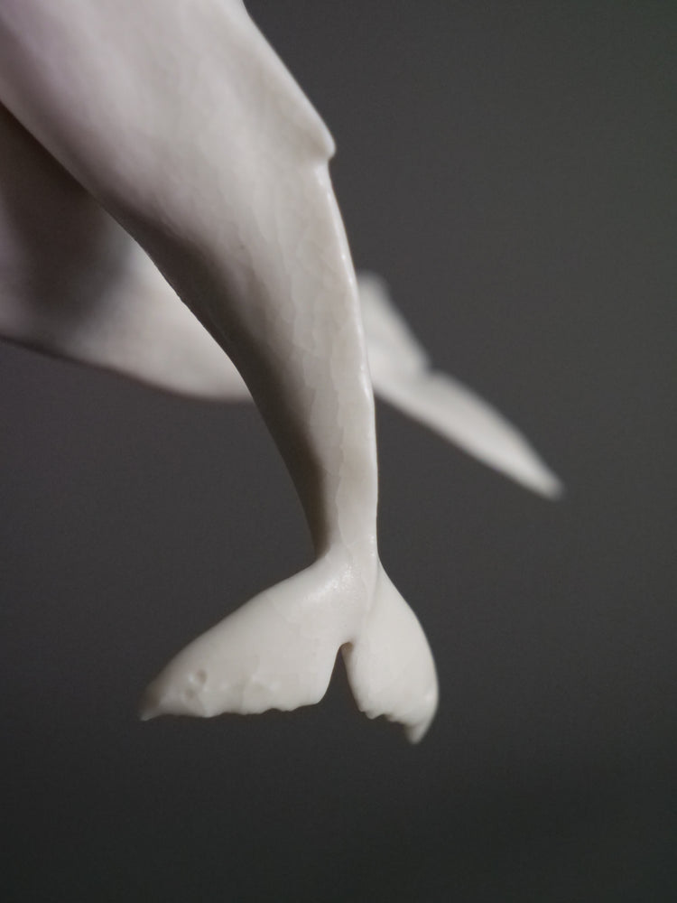 Dancing porcelain whales