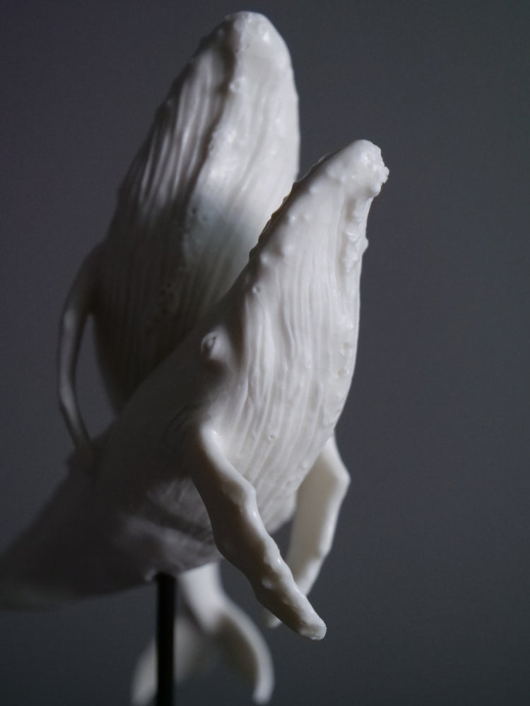 Dancing porcelain whales