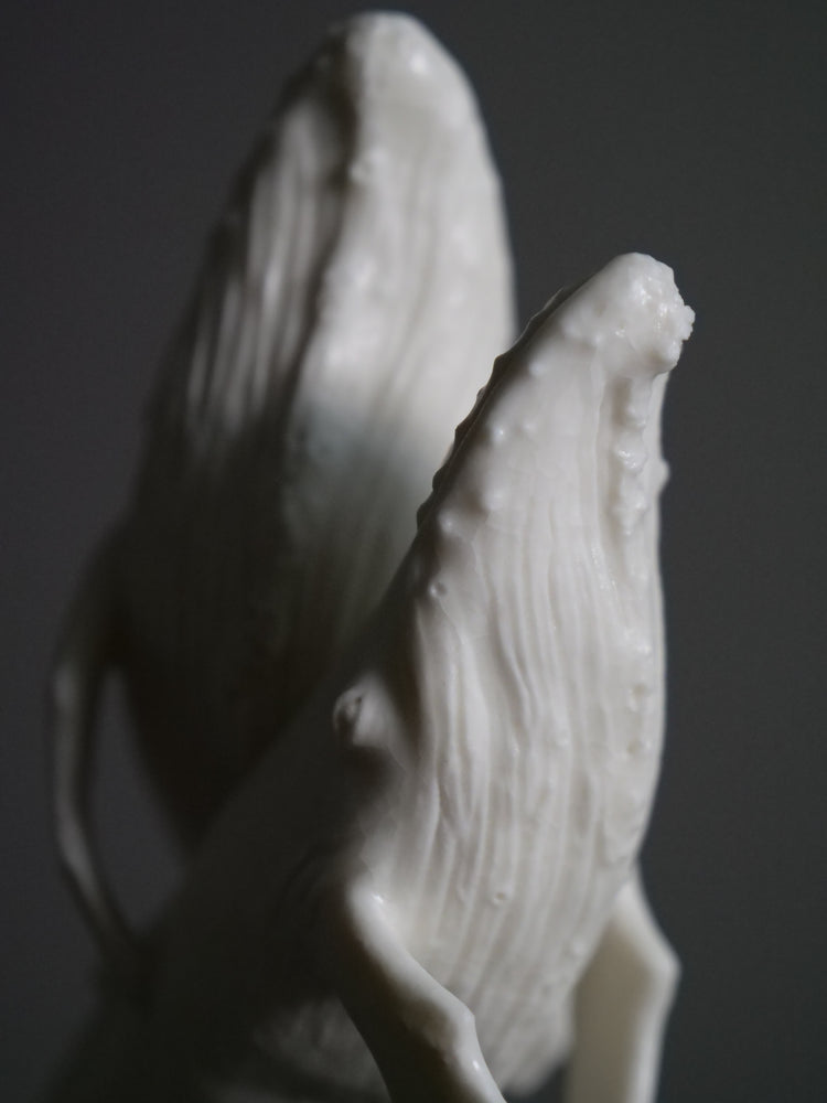 Dancing porcelain whales