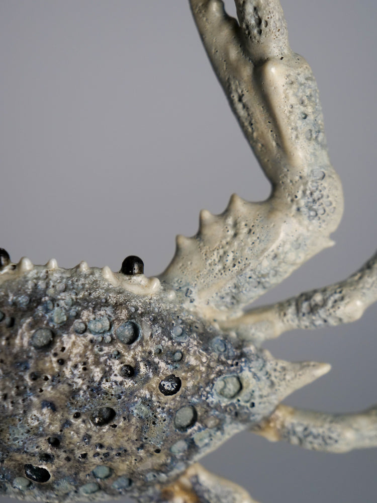 Crab Shelly