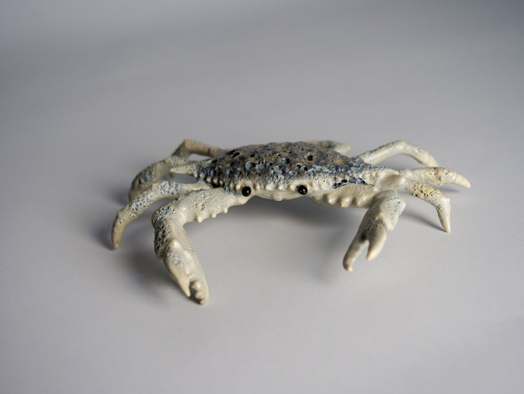 Crab Shelly