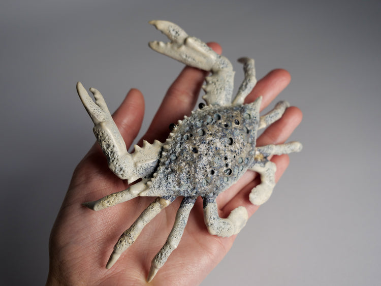 Crab Shelly