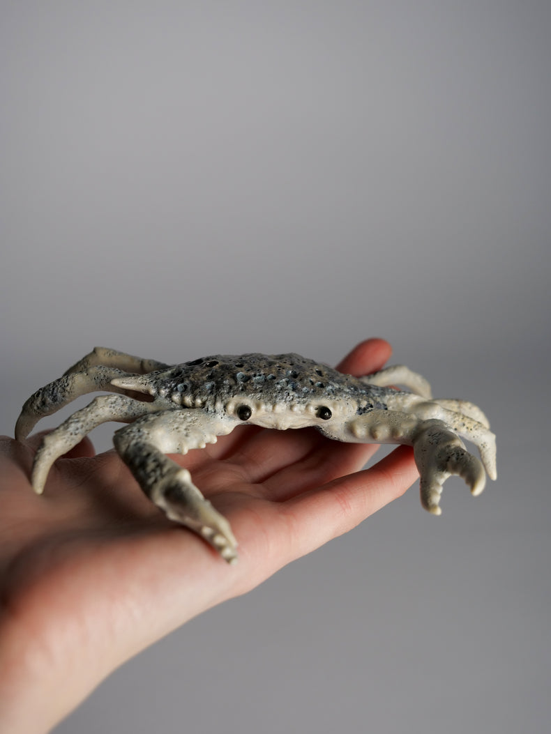 Crab Shelly
