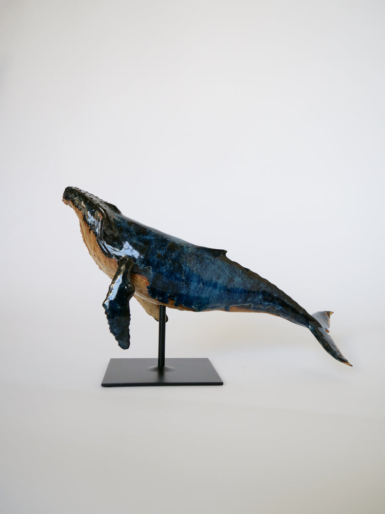Whale Martin: Large, blue