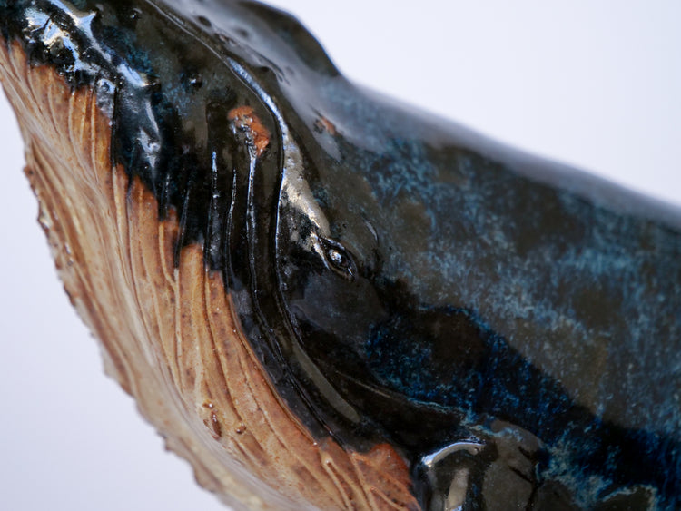 Whale Martin: Large, blue