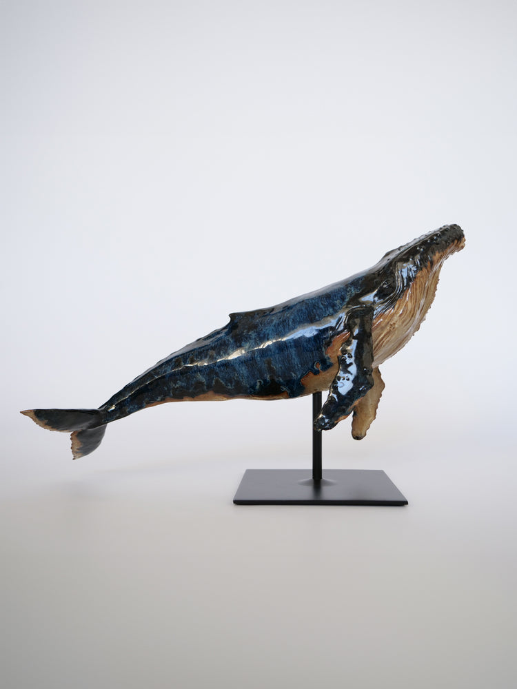 Whale Martin: Large, blue
