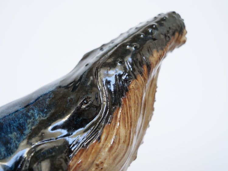 Whale Martin: Large, blue