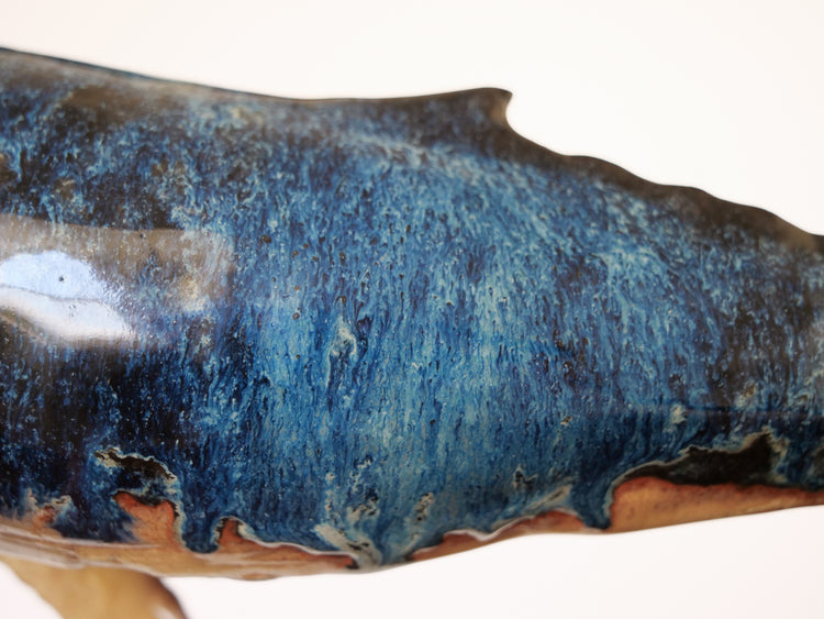 Whale Martin: Large, blue